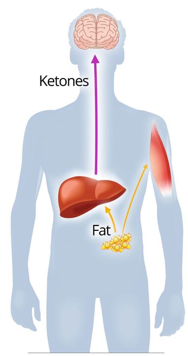 Ketoza z NexaSlim